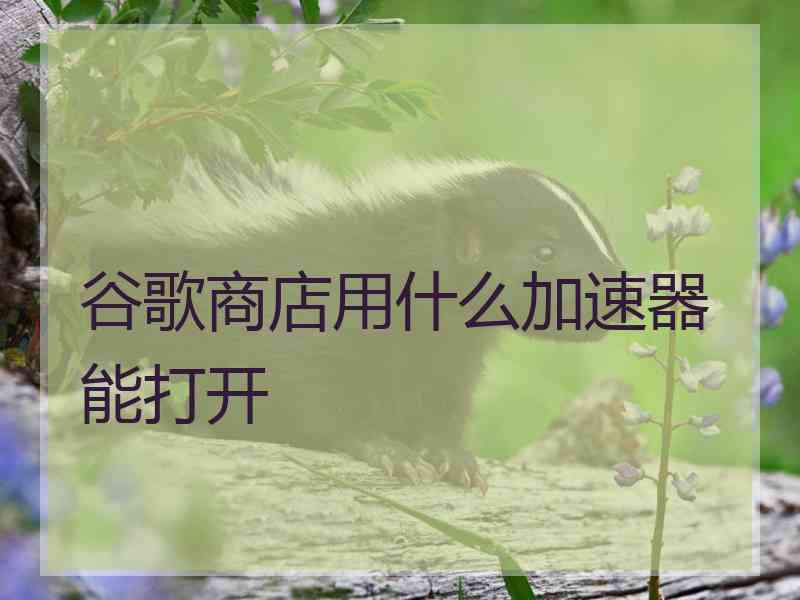 谷歌商店用什么加速器能打开