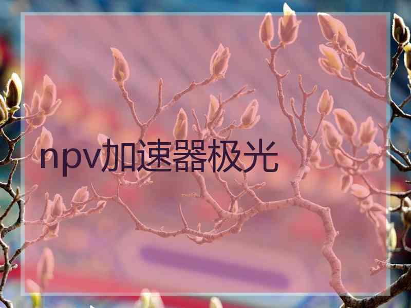 npv加速器极光