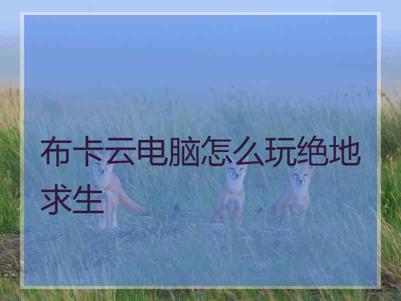布卡云电脑怎么玩绝地求生