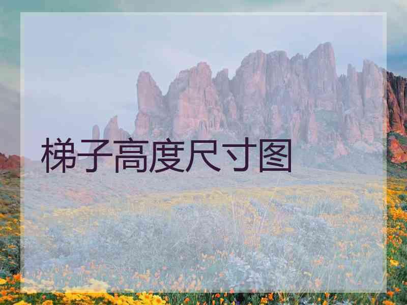 梯子高度尺寸图