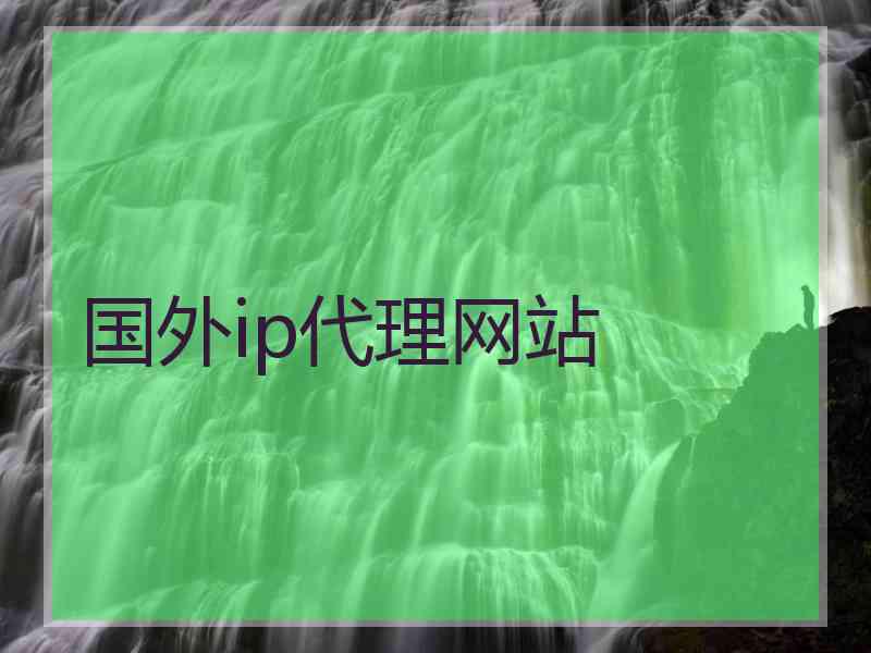 国外ip代理网站
