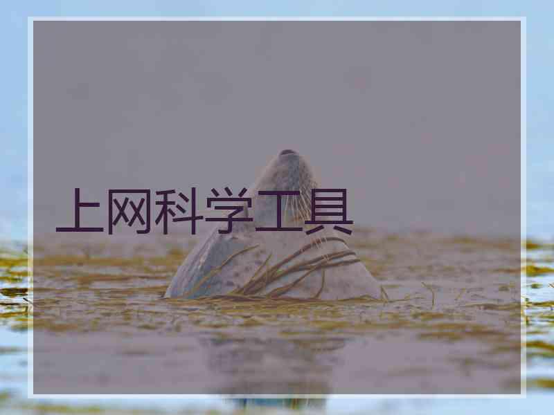 上网科学工具