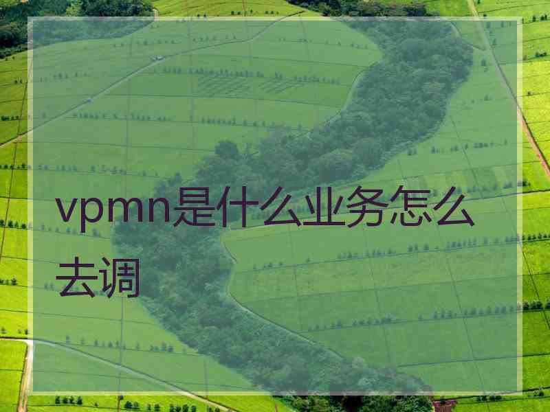 vpmn是什么业务怎么去调