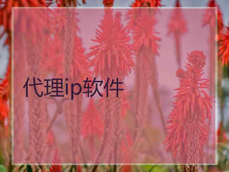 代理ip软件