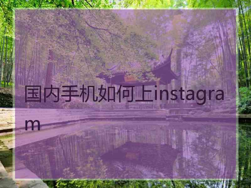 国内手机如何上instagram