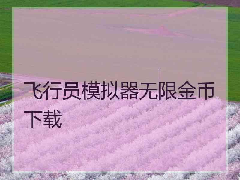 飞行员模拟器无限金币下载