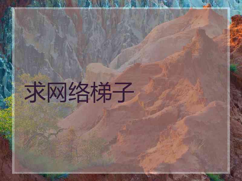 求网络梯子