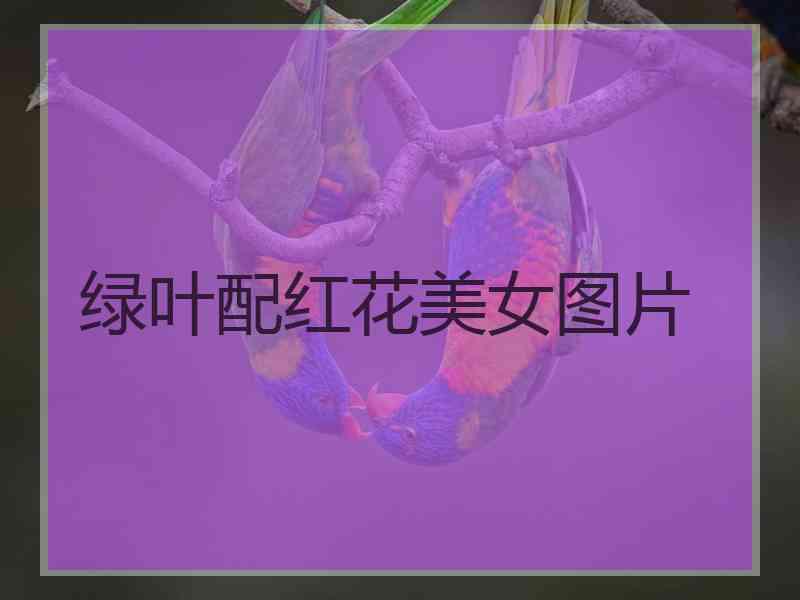 绿叶配红花美女图片