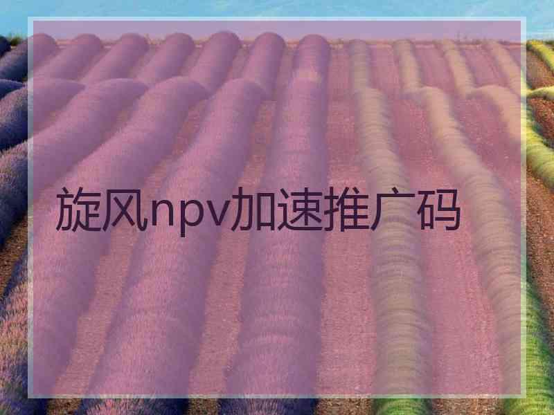 旋风npv加速推广码