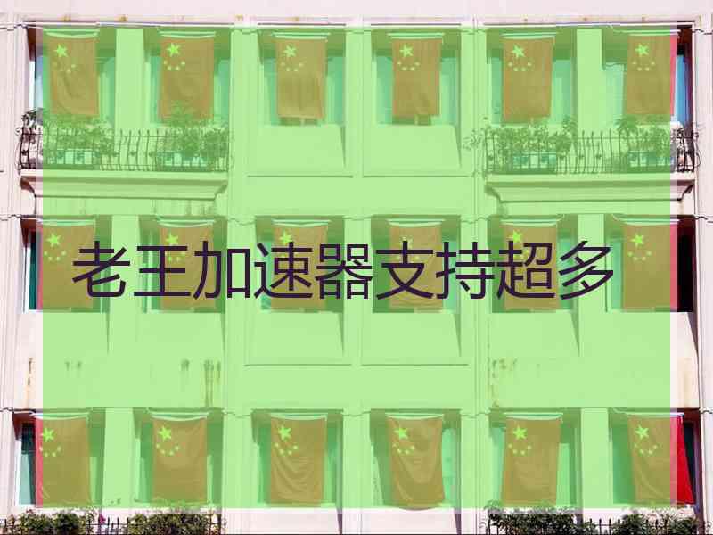 老王加速器支持超多