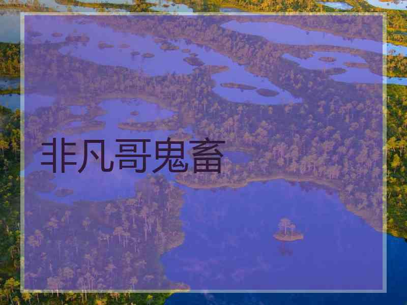 非凡哥鬼畜