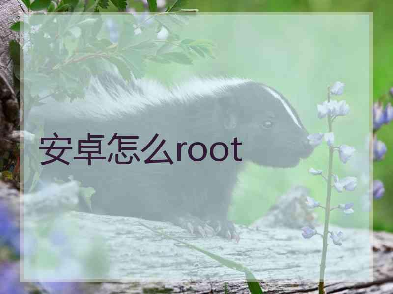 安卓怎么root