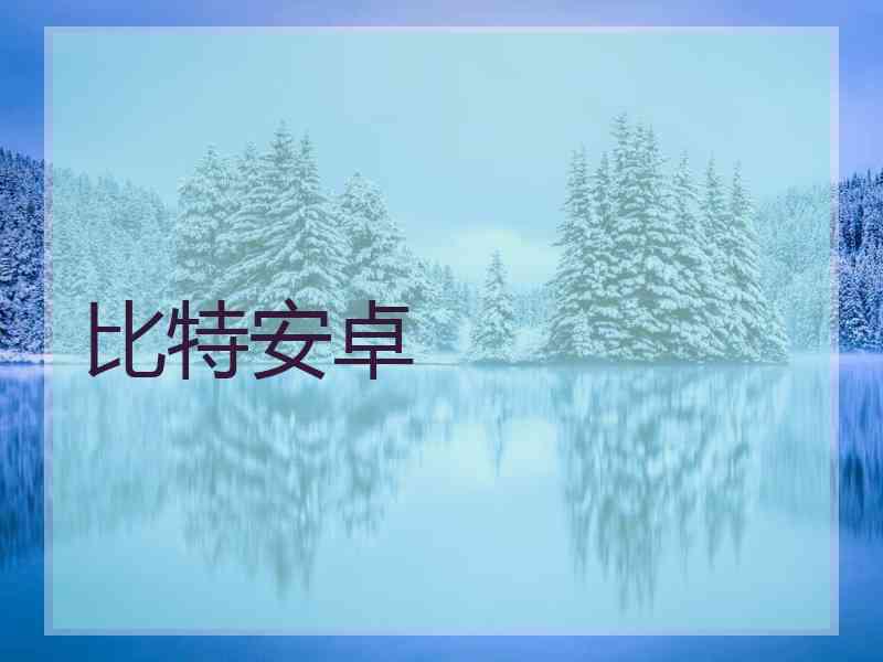 比特安卓