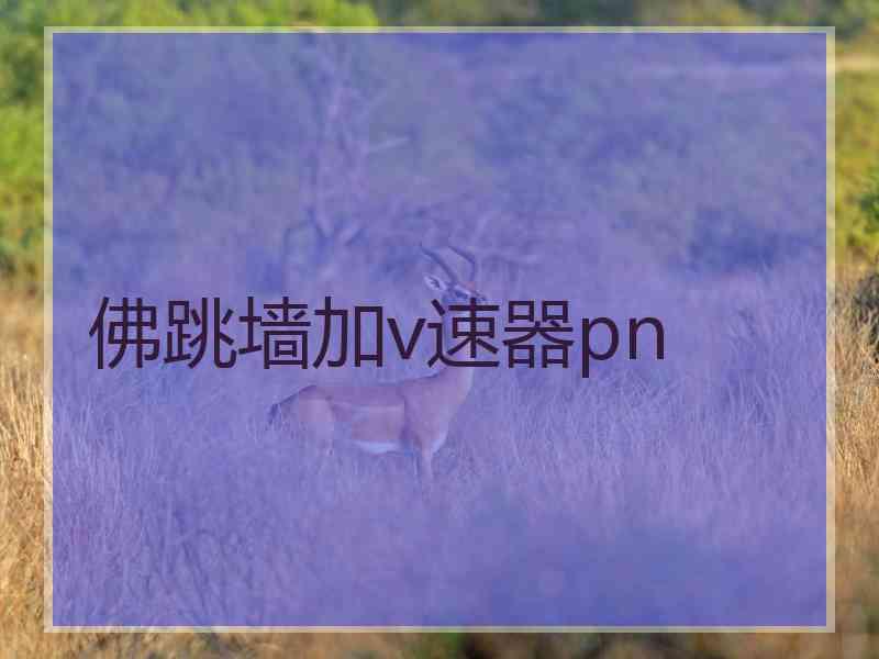 佛跳墙加v速器pn