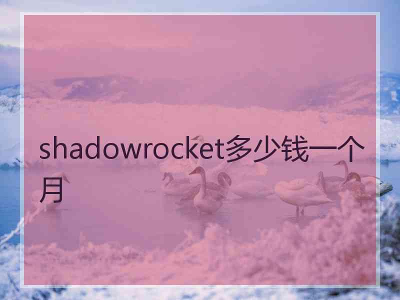 shadowrocket多少钱一个月