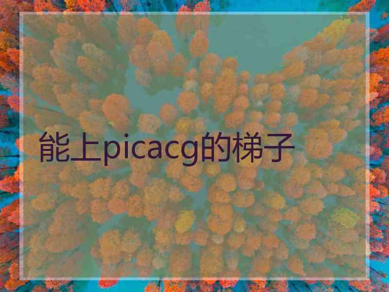 能上picacg的梯子