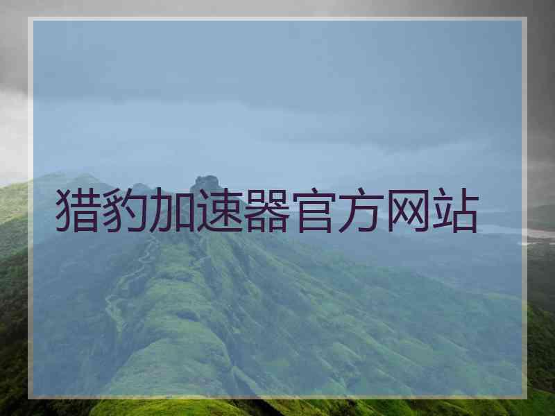 猎豹加速器官方网站