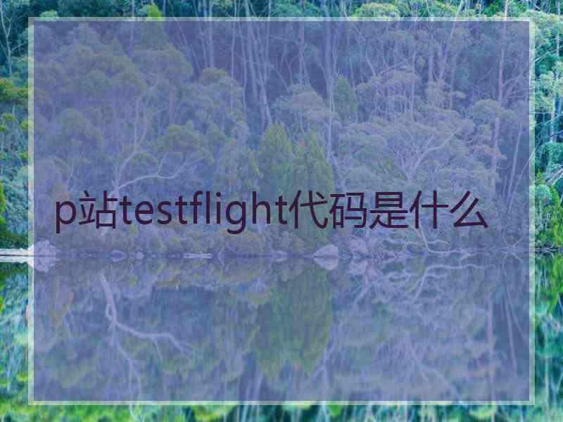 p站testflight代码是什么