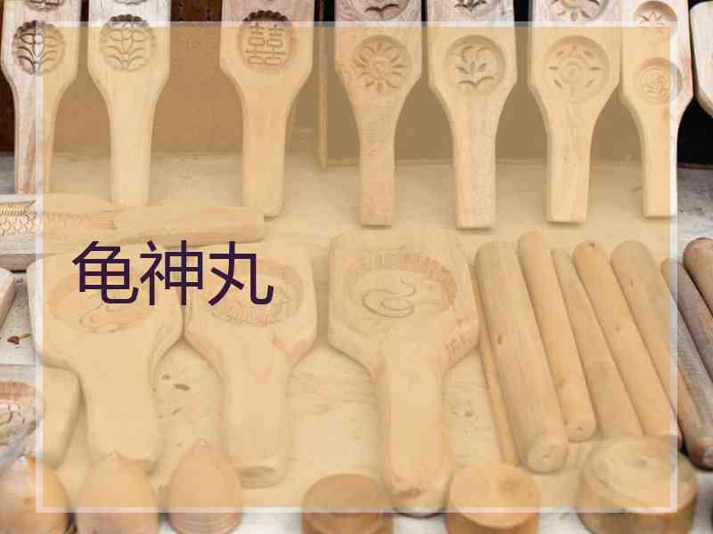 龟神丸