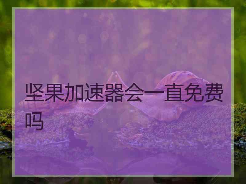 坚果加速器会一直免费吗