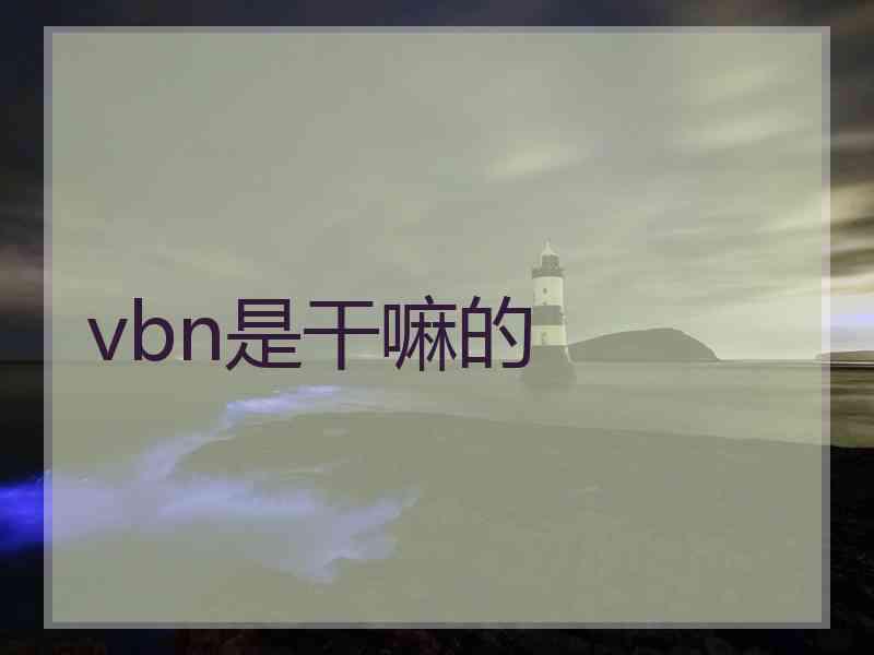 vbn是干嘛的