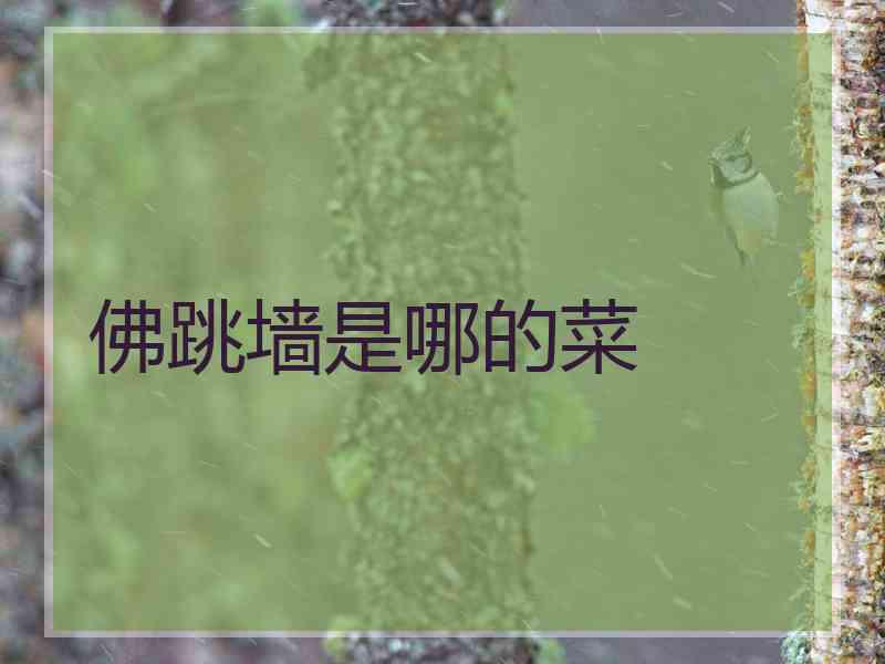 佛跳墙是哪的菜
