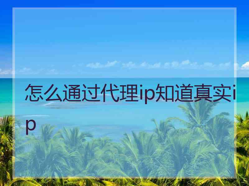怎么通过代理ip知道真实ip