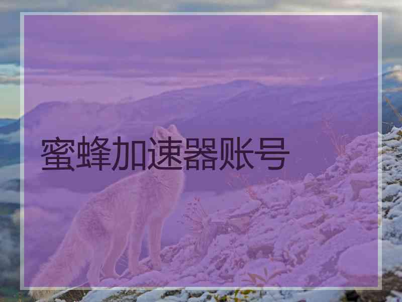 蜜蜂加速器账号