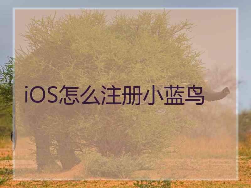 iOS怎么注册小蓝鸟