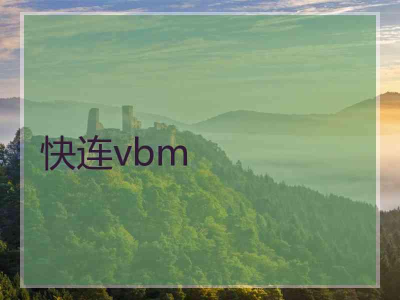 快连vbm