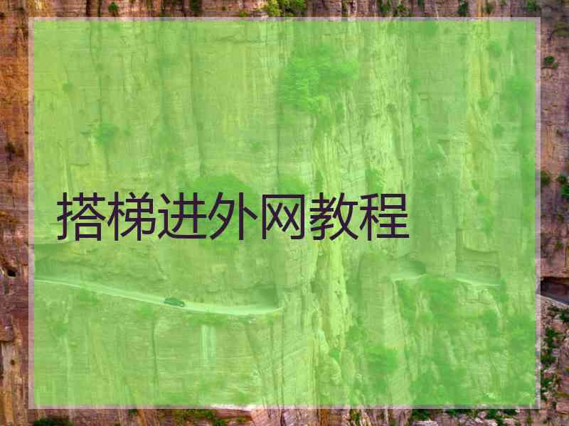 搭梯进外网教程