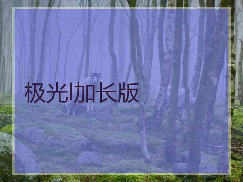 极光l加长版