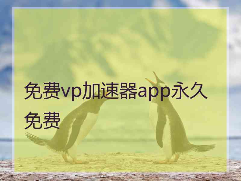 免费vp加速器app永久免费