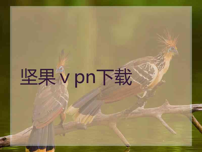 坚果ⅴpn下载
