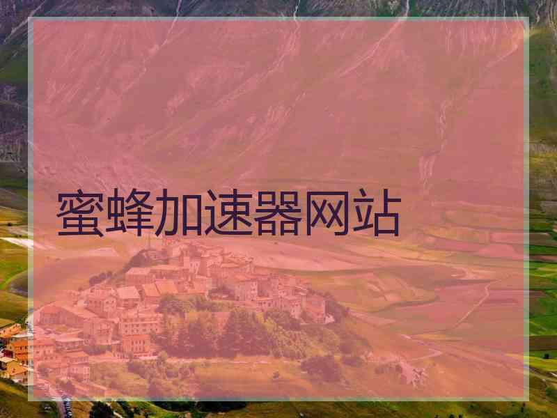 蜜蜂加速器网站