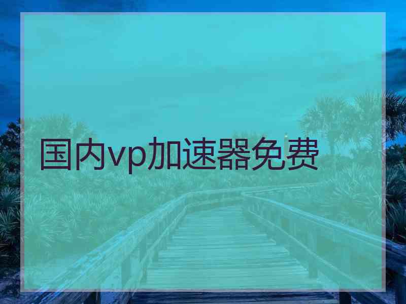 国内vp加速器免费