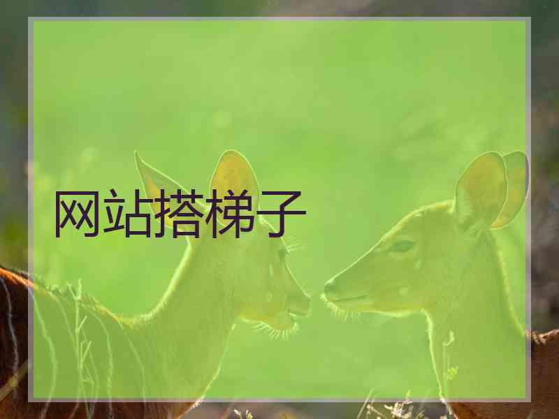网站搭梯子