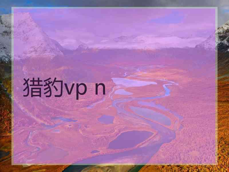 猎豹vp n