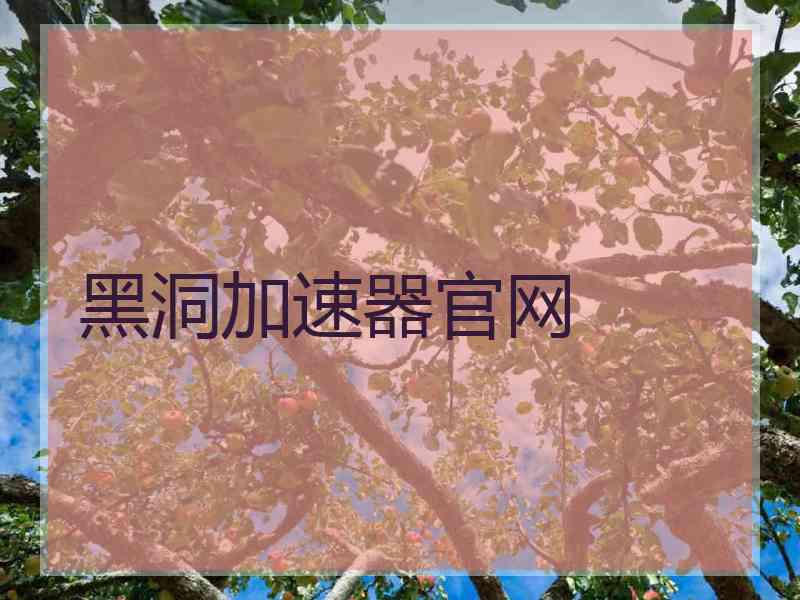 黑洞加速器官网