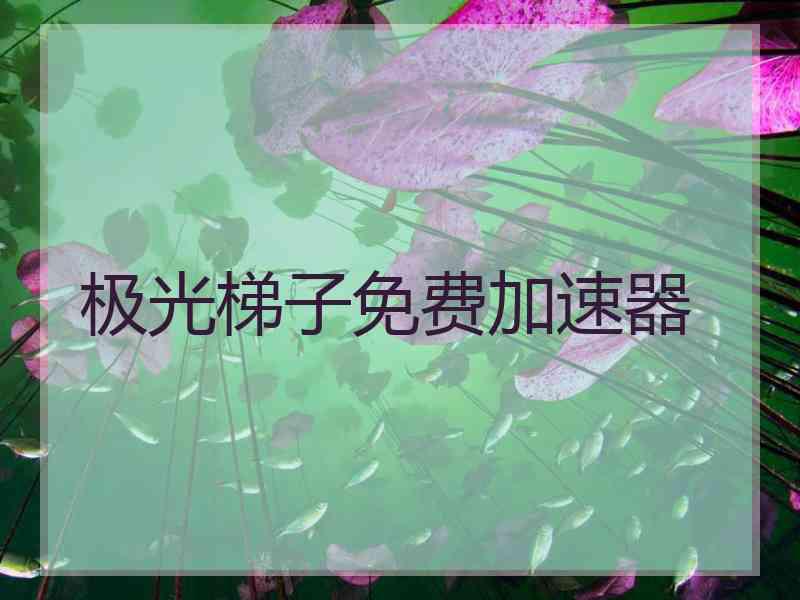 极光梯子免费加速器