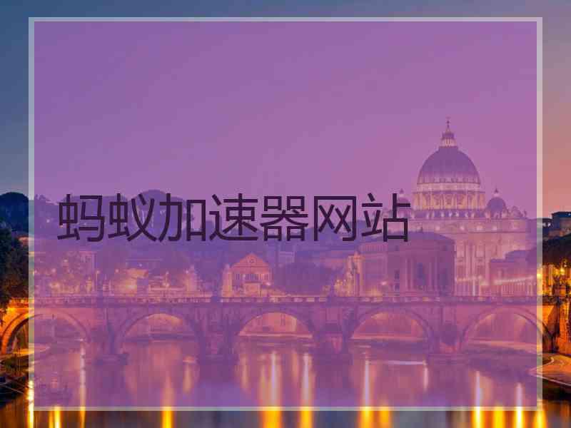 蚂蚁加速器网站