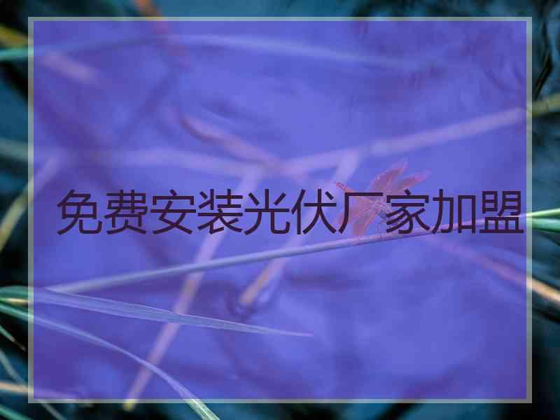 免费安装光伏厂家加盟