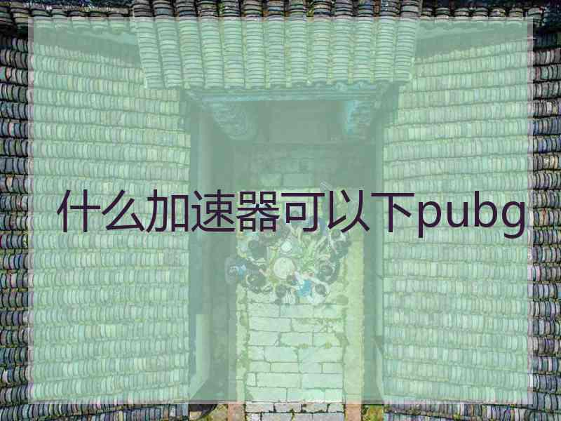 什么加速器可以下pubg