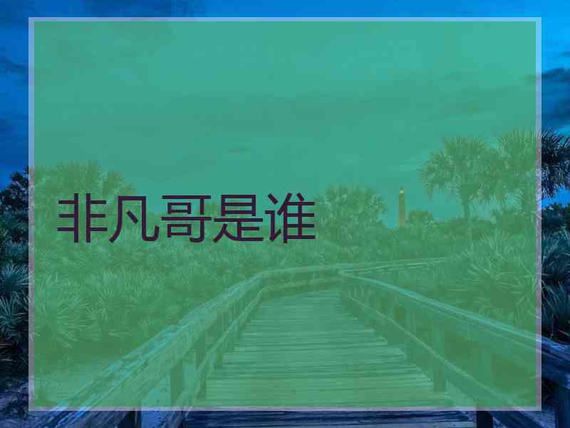 非凡哥是谁