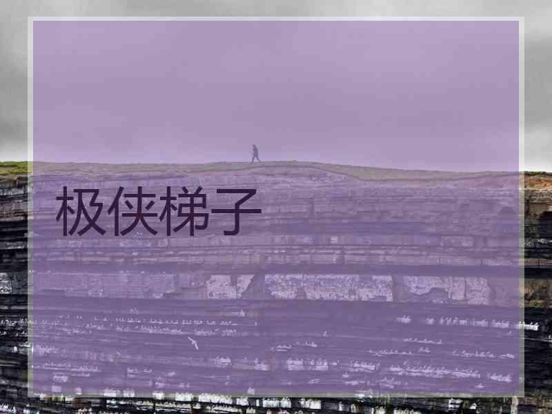 极侠梯子