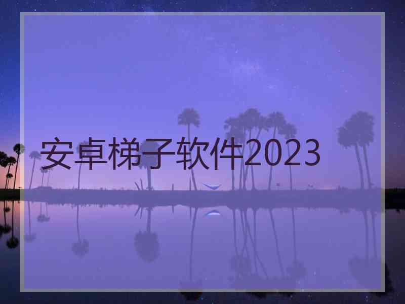 安卓梯子软件2023