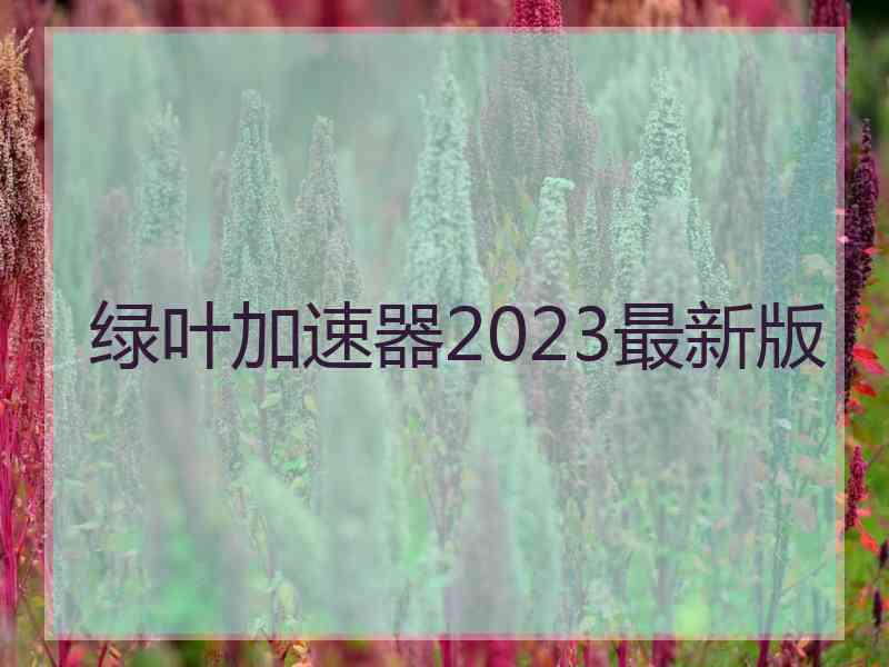 绿叶加速器2023最新版