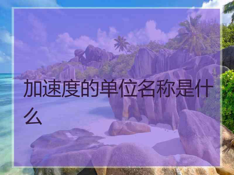 加速度的单位名称是什么