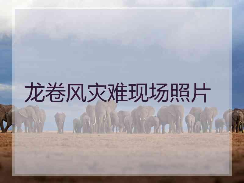 龙卷风灾难现场照片