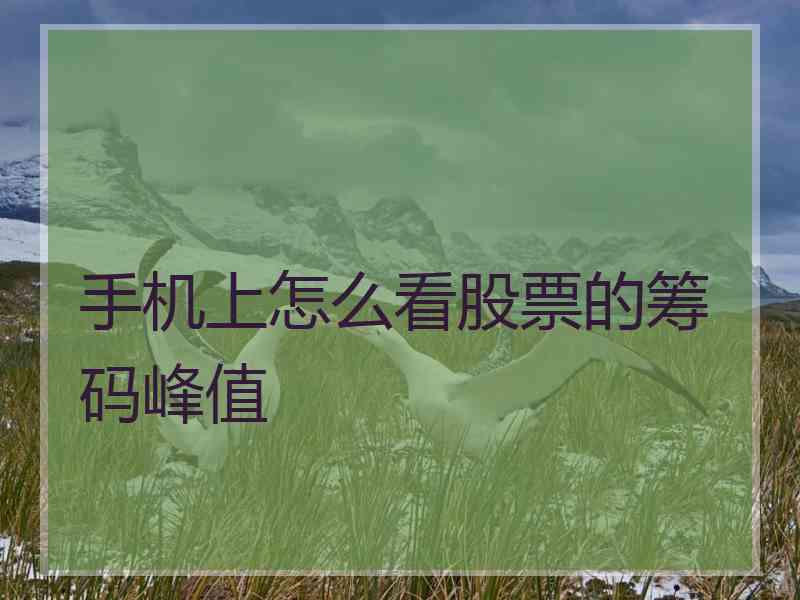 手机上怎么看股票的筹码峰值